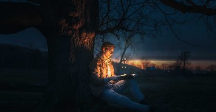 czytanie baśni pod drzewem w porze nocnej
