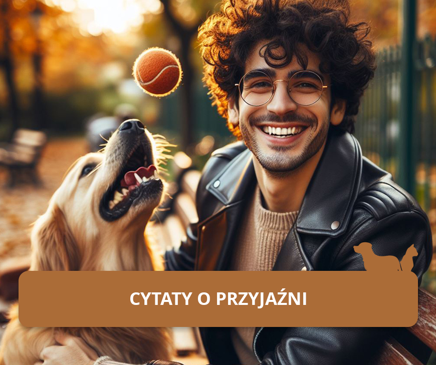 Cytaty o przyjaźni